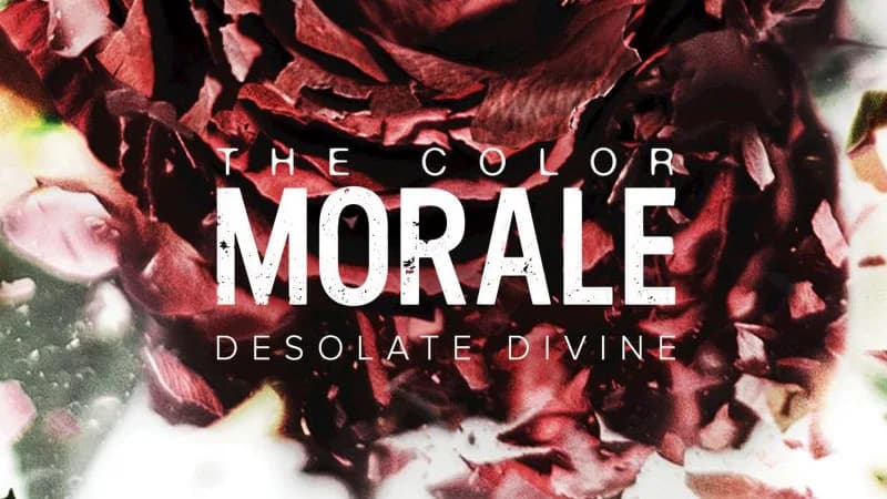 THE COLOR MORALE - Desolate Divine