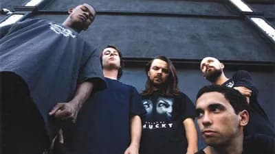 Vein.fm