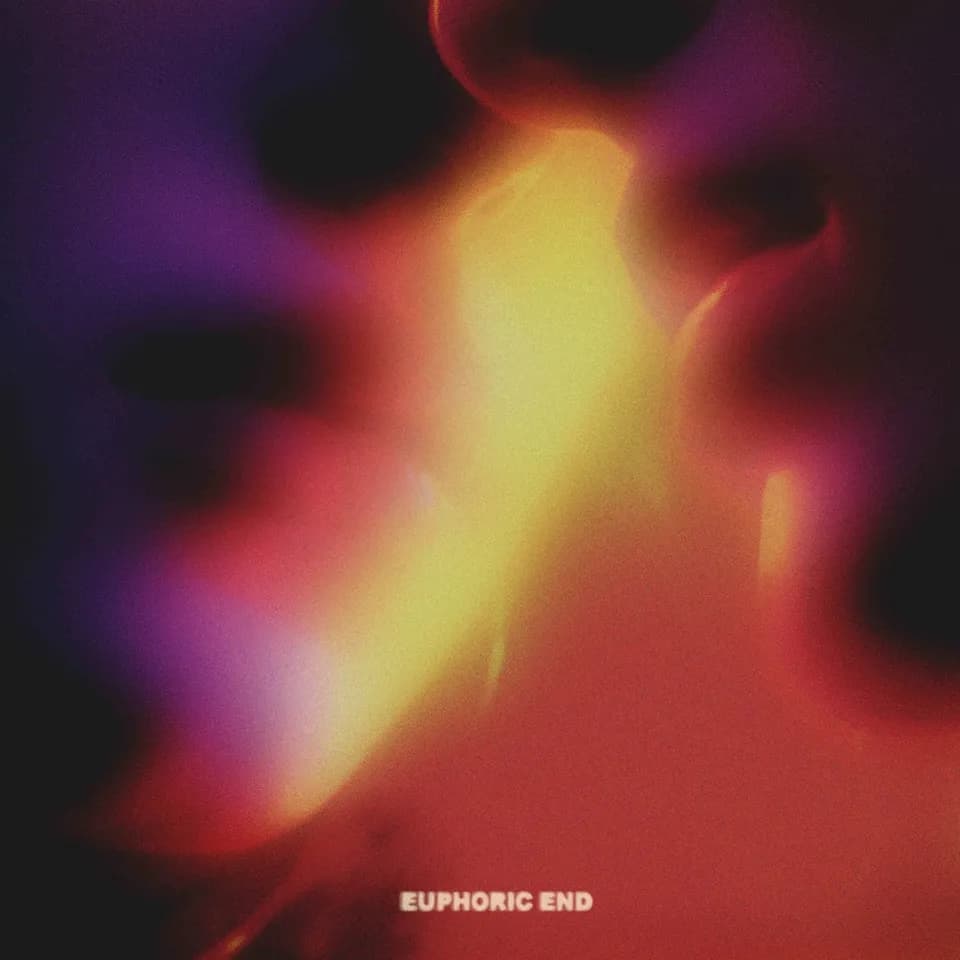 Paleskin - Euphoric End