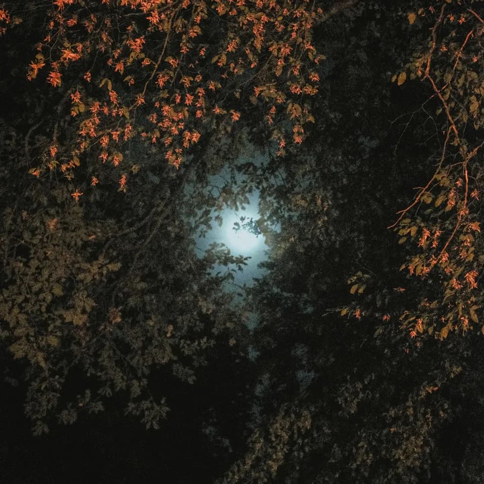 Watch Me Rise - A decade full of setbacks and mistakes