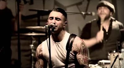 Broilers