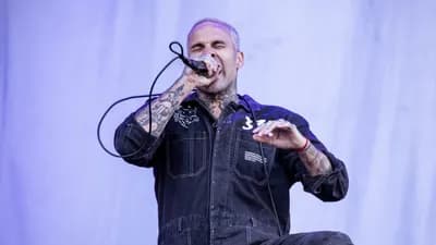Fever 333