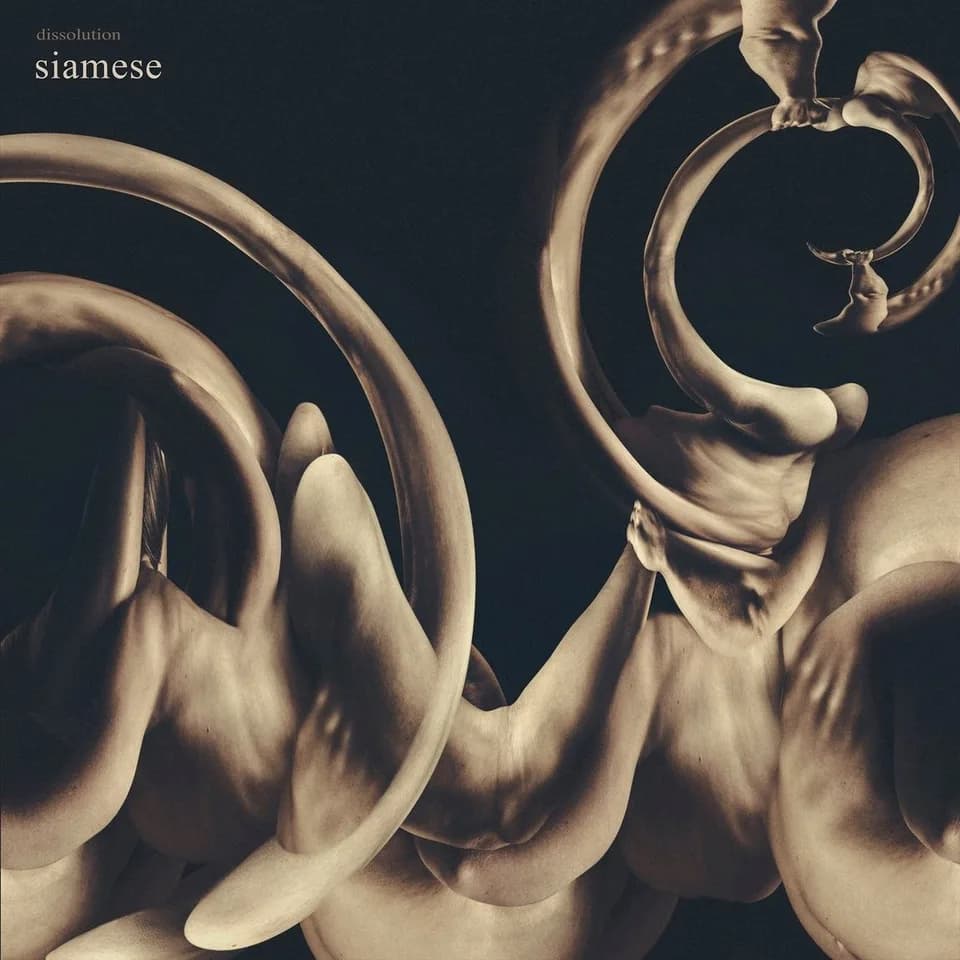 Siamese - dissolution