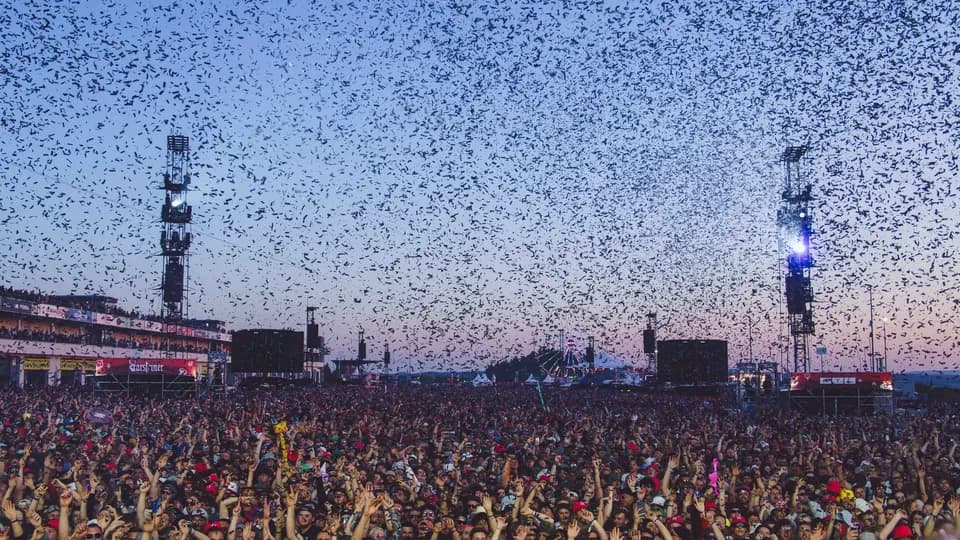 Rock am Ring & Rock im Park 2024: Besondere Ankündigungen, die vielleicht etwas untergegangen sind