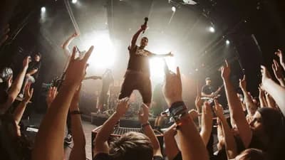 Zebrahead