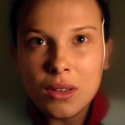 Feature image Stranger Things Staffel 5 Netflix