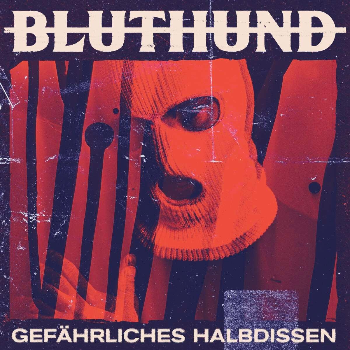 Bluthund Gefährlich Halbdissen