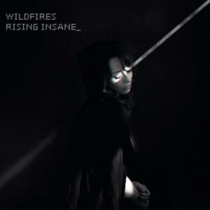 Rising Insane Wildfires