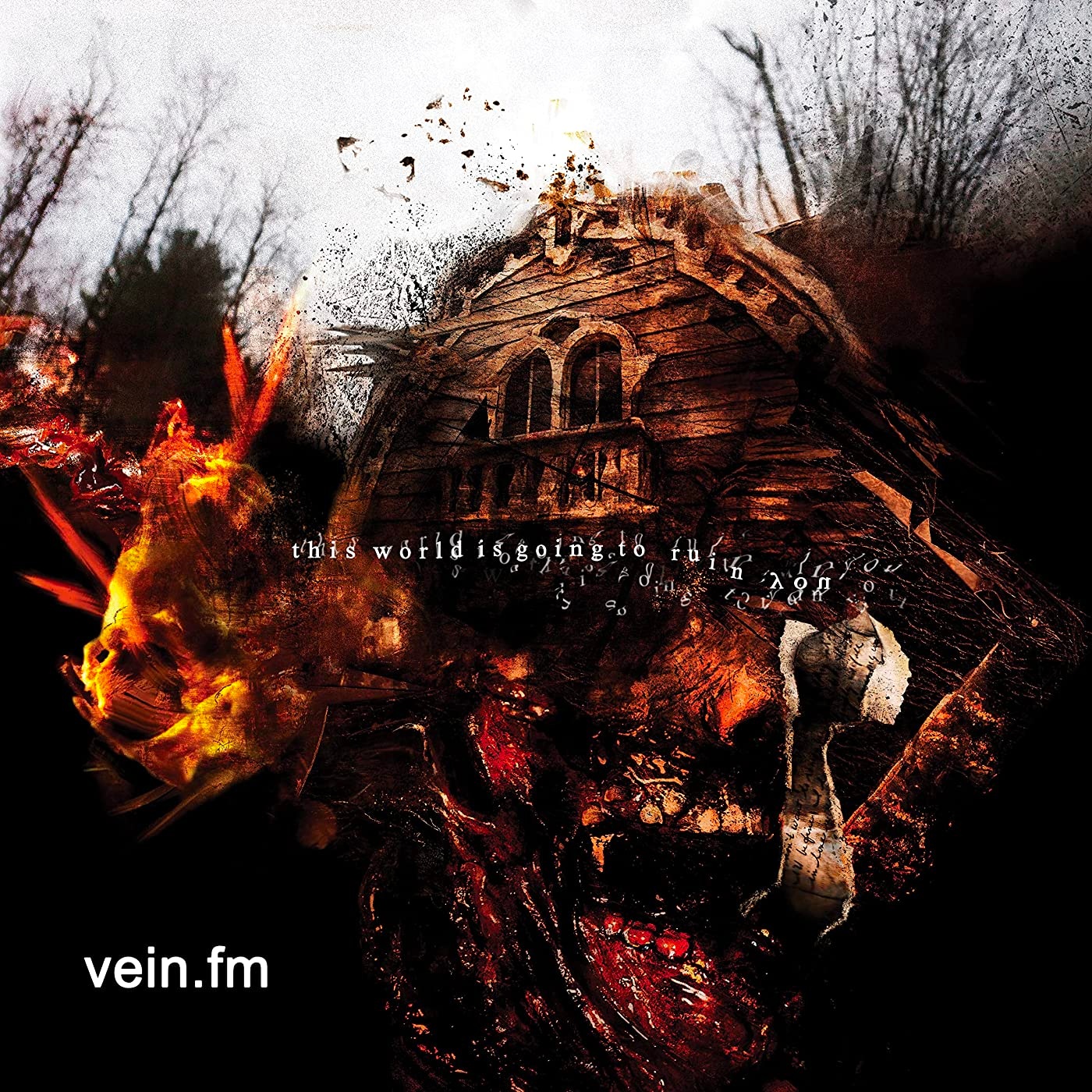 Vein.fm The World Is Going To Ruin